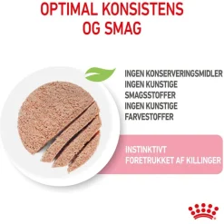 Royal Canin Kitten Mousse