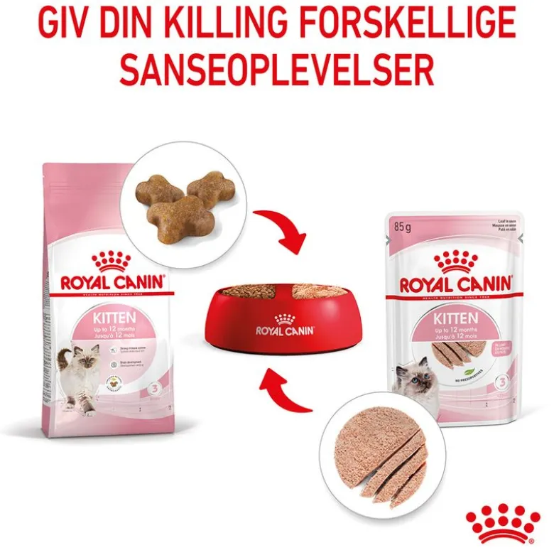 Royal Canin Kitten Mousse