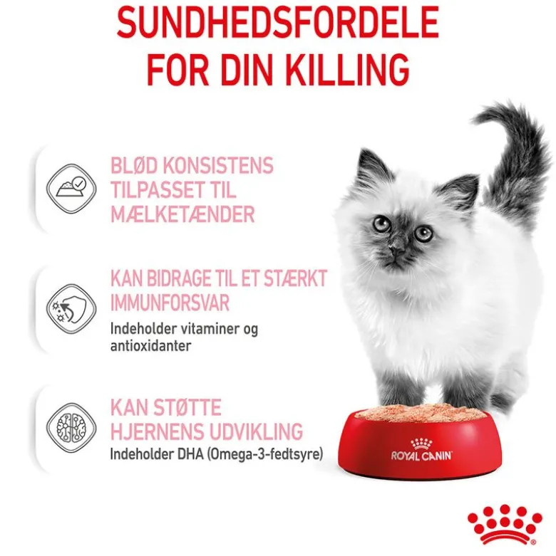 Royal Canin Kitten Mousse