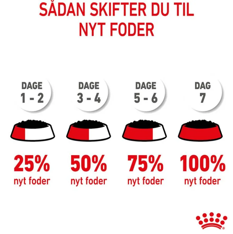 Royal Canin Kitten Mousse