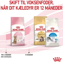 Royal Canin Kitten Sterilised
