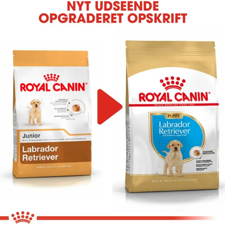 Royal Canin Labrador Retriever Puppy
