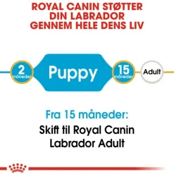 Royal Canin Labrador Retriever Puppy