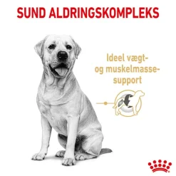 Royal Canin Labrador Retriever Adult 5+