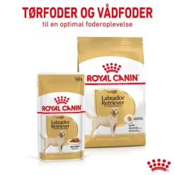 Royal Canin Labrador Retriever Adult i sauce