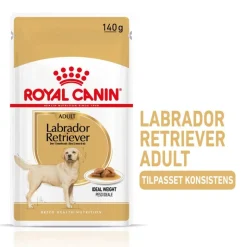 Royal Canin Labrador Retriever Adult i sauce