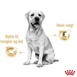 Royal Canin Labrador Retriever Adult i sauce