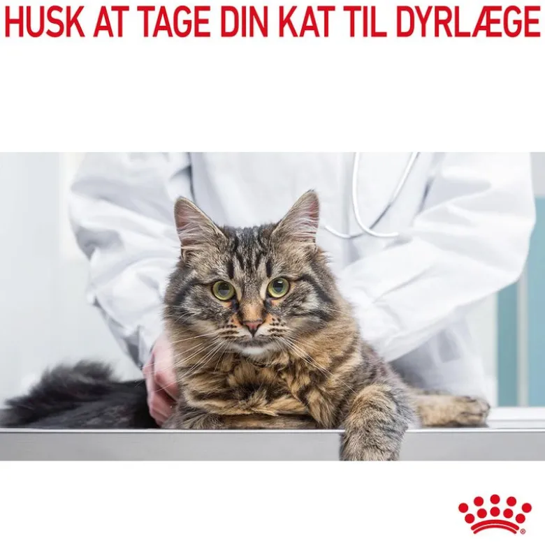Royal Canin Light Weight Care i gelé