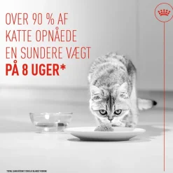 Royal Canin Light Weight Care AirLift Mousse
