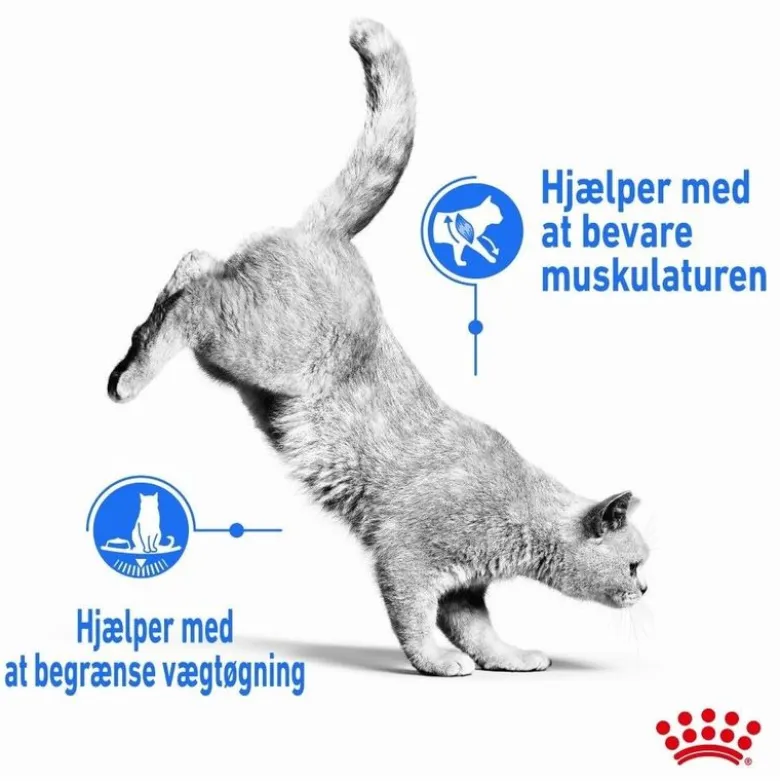 Royal Canin Light Weight Care