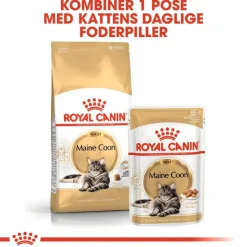 Royal Canin Maine Coon Adult