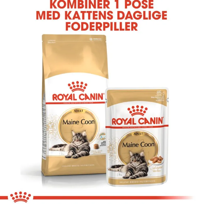 Royal Canin Maine Coon Adult