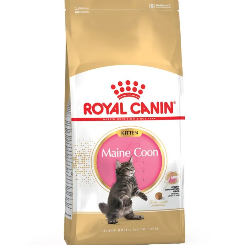 Royal Canin Maine Coon Kitten