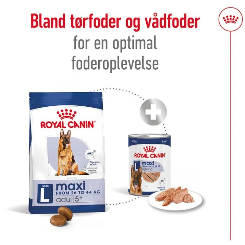 Royal Canin Maxi Adult 5+