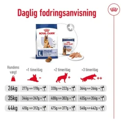 Royal Canin Maxi Adult 5+