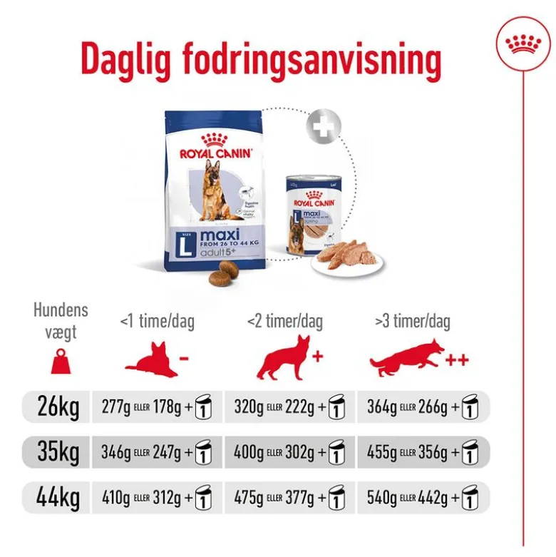 Royal Canin Maxi Adult 5+