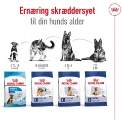 Royal Canin Maxi Adult