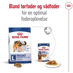 Royal Canin Maxi Adult