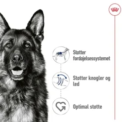Royal Canin Maxi Adult i sauce