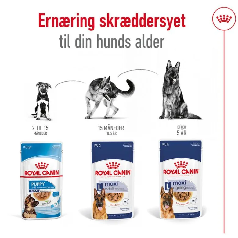 Royal Canin Maxi Adult i sauce