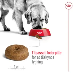 Royal Canin Maxi Ageing 8+