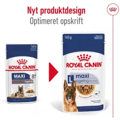 Royal Canin Maxi Ageing i sauce