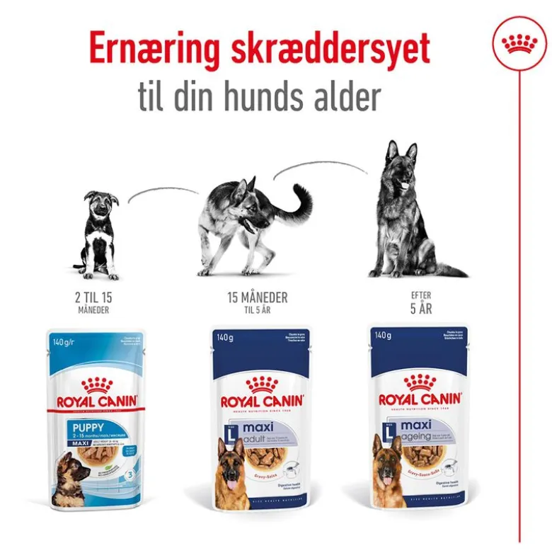 Royal Canin Maxi Ageing i sauce