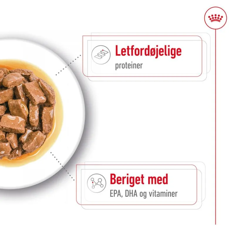 Royal Canin Maxi Ageing i sauce
