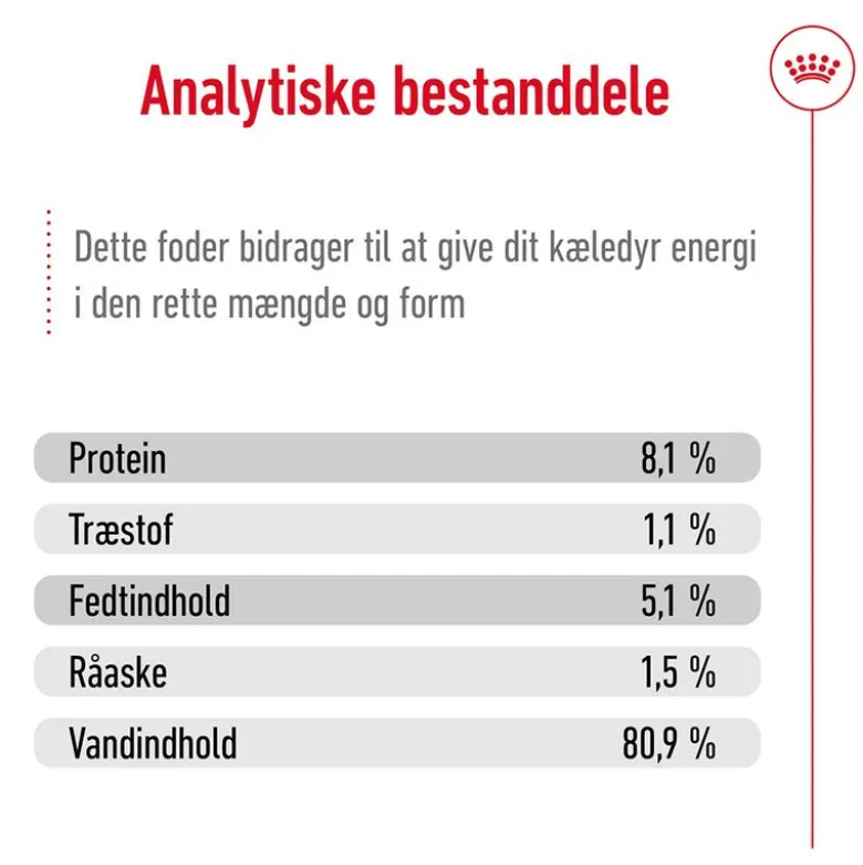 Royal Canin Maxi Ageing i sauce