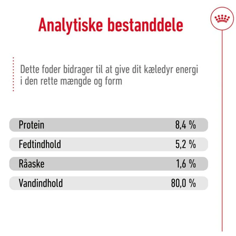 Royal Canin Maxi Ageing Mousse