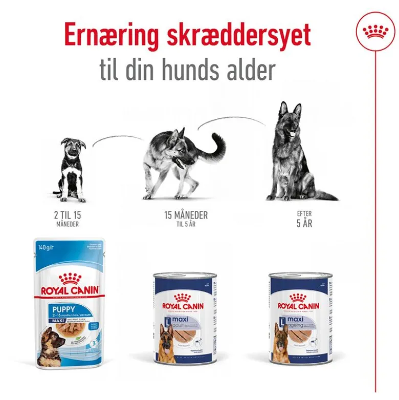 Royal Canin Maxi Ageing Mousse