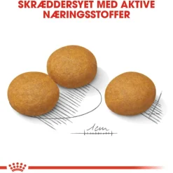 Royal Canin Maxi Dermacomfort