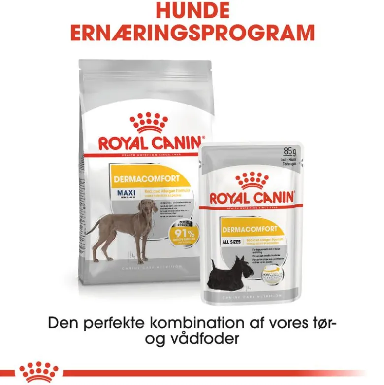 Royal Canin Maxi Dermacomfort