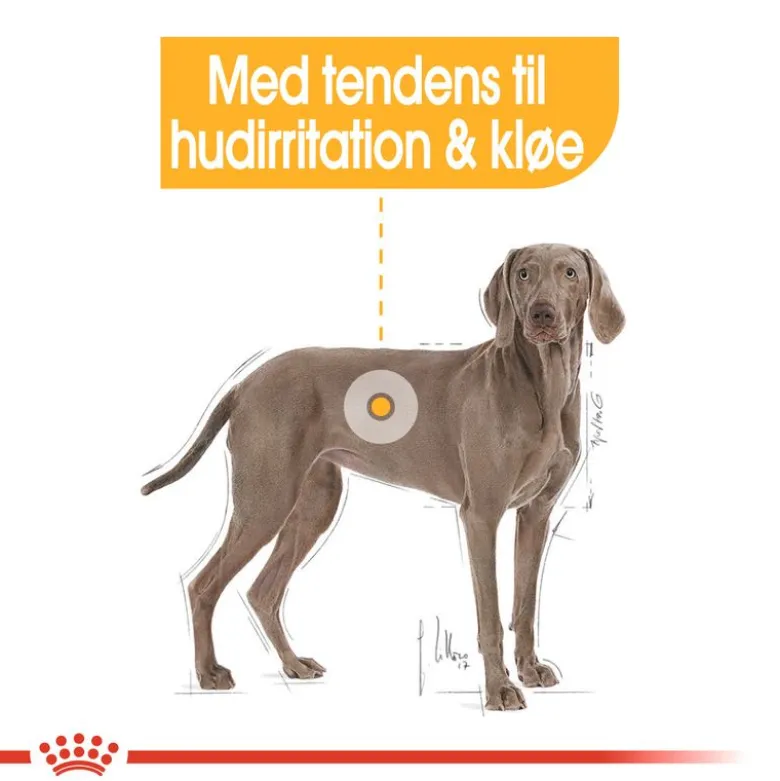 Royal Canin Maxi Dermacomfort