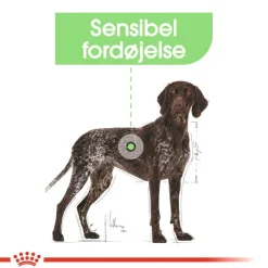 Royal Canin Maxi Digestive Care