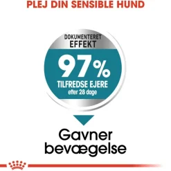 Royal Canin Maxi Joint Care