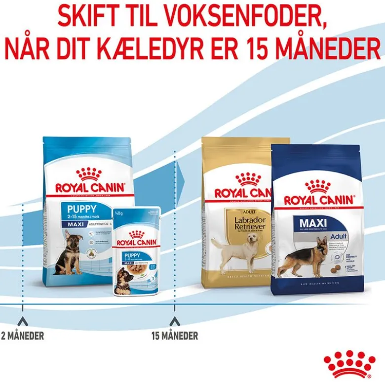 Royal Canin Maxi Puppy