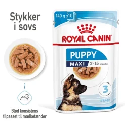 Royal Canin Maxi Puppy i sauce