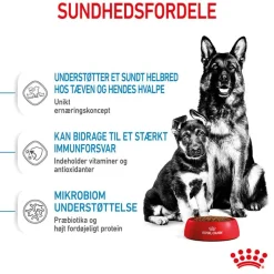 Royal Canin Maxi Starter Mother & Babydog