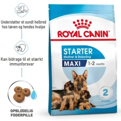 Royal Canin Maxi Starter Mother & Babydog
