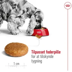 Royal Canin Medium Adult