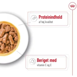 Royal Canin Medium Adult i sauce