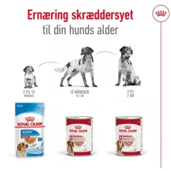 Royal Canin Medium Adult Mousse