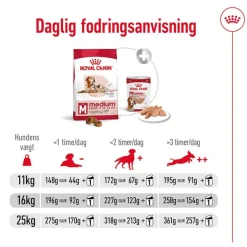 Royal Canin Medium Ageing 10+