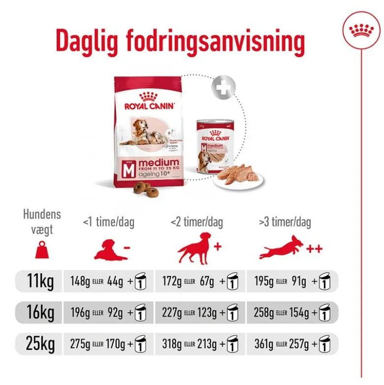 Royal Canin Medium Ageing 10+