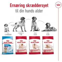 Royal Canin Medium Ageing 10+