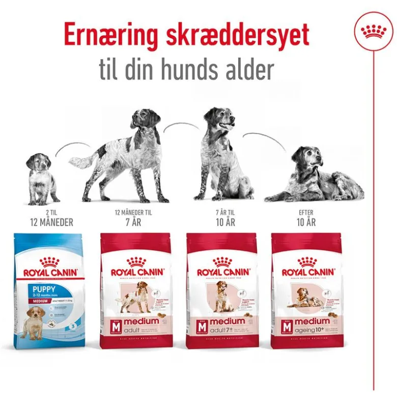 Royal Canin Medium Ageing 10+