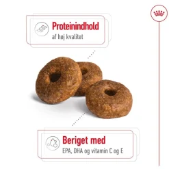 Royal Canin Medium Ageing 10+