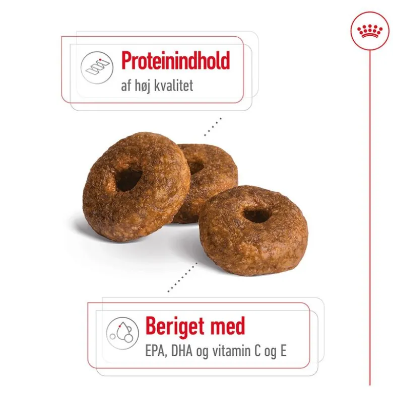 Royal Canin Medium Ageing 10+