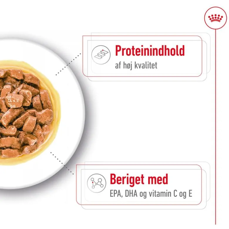 Royal Canin Medium Ageing i sauce